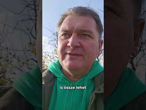 Lemosó permetezés gyümölcsösben - hogyan csináljuk? videó
