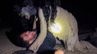 Most Terrifying Camping Encounters That Freaked People Out