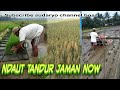 TANDUR NDAUT Jaman NOW Dari Desa Cilapar