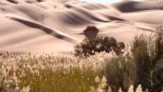 A walk in the Tunisian Desert (Music by Esbjorn Svensson Trio : The return of Mohammad)