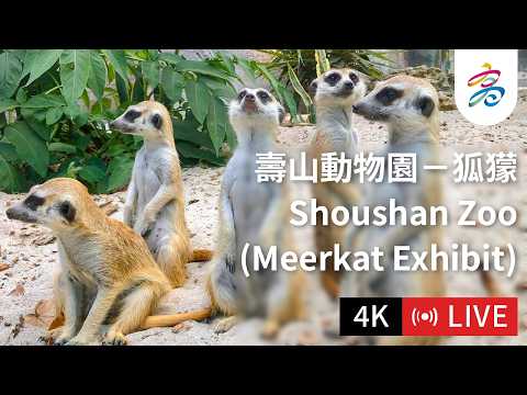 壽山動物園即時影像