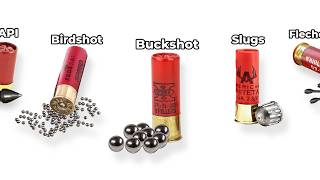 Every Type Of Shotgun Shell Explained