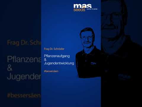 Frag Dr. Schröder - Pflanzenaufgang & Jugendentwicklung