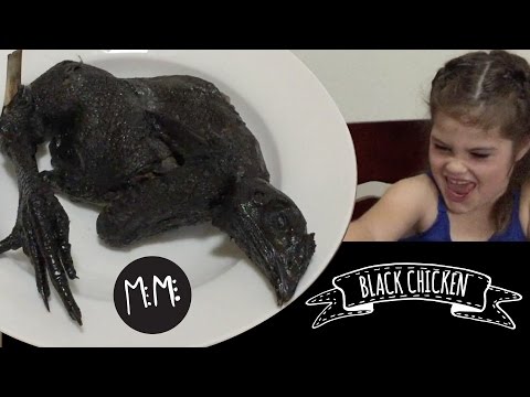download lagu mp3 mp4 Black Chicken Wiki, download lagu Black Chicken Wiki gratis, unduh video klip Black Chicken Wiki