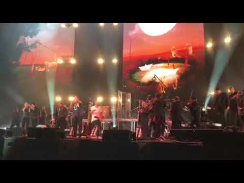 Lovasi 50 (Kispál és a Borz) - Ágy, asztal, tévé - Aréna 2017. november 11.