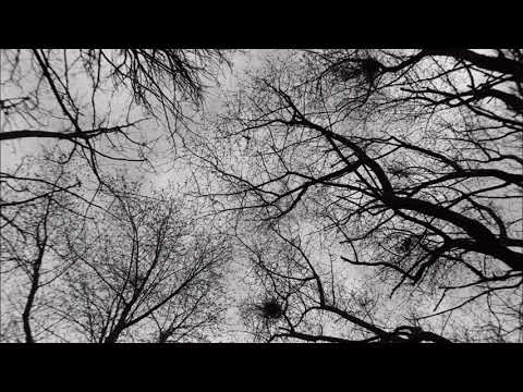 download lagu mp3 mp4 Rural Psychogeography, download lagu Rural Psychogeography gratis, unduh video klip Rural Psychogeography
