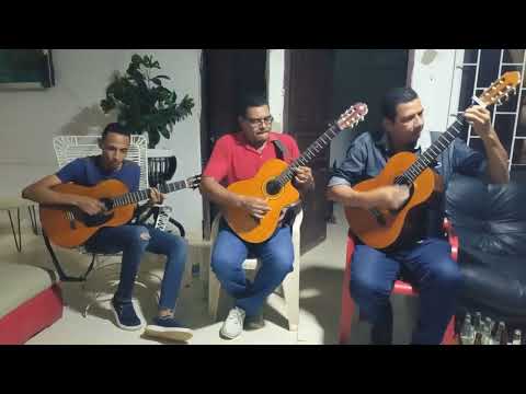 "La ceiba del puerto" en parranda. Autor: Camilo Namén.