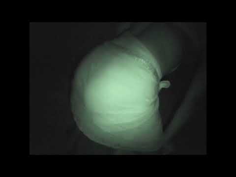 AntsLive - Skeet (Visualizer) [Payday Records]