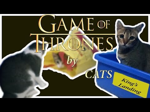 Game Of Thrones | Jamie vs BlackFish Cat Version | Funny Cat Videos