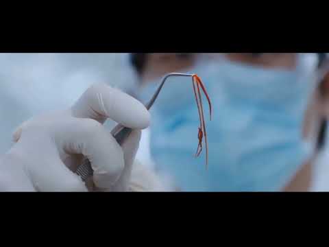 URBAN MYTHS - Tooth Worms Clip | Seoul Ghost Story