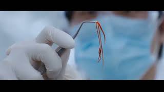 Download lagu URBAN MYTHS - Tooth Worms Clip | Seoul Ghost Story mp3 Download lagu URBAN MYTHS - Tooth Worms Clip | Seoul Ghost Story mp3