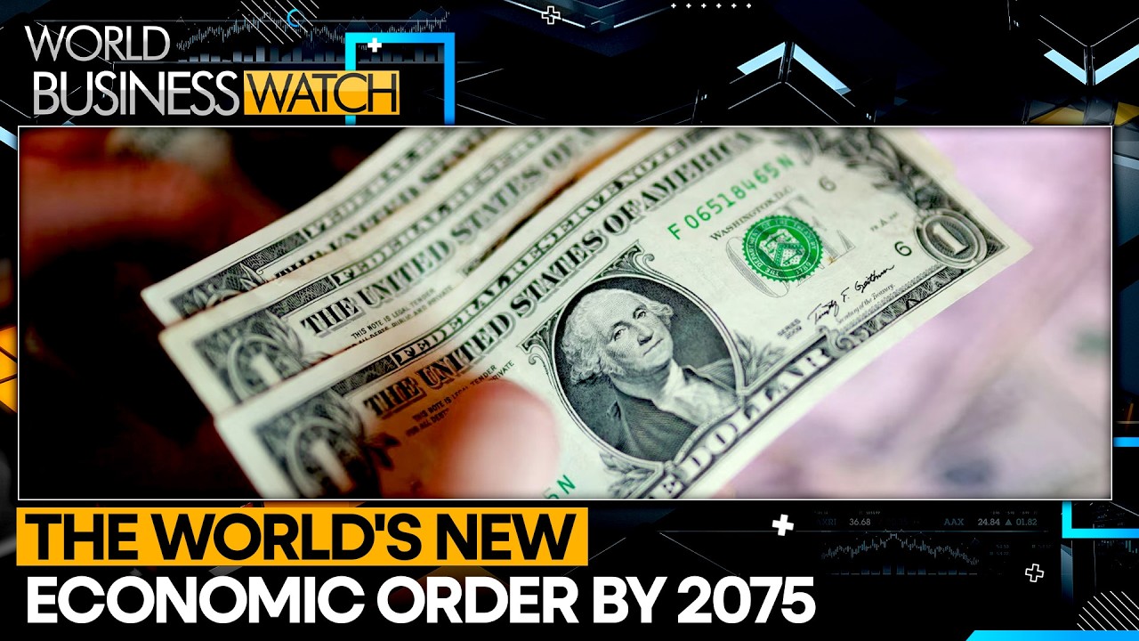 Goldman Sachs Maps The Future Of Money | WION World Business Watch