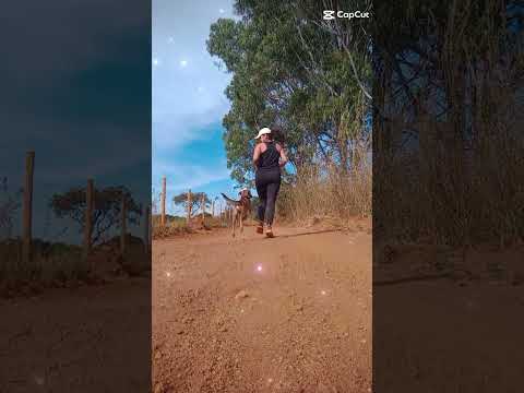 Caminhada sertaneja Comunidade Santa Rita município Vianópolis Goiás Brasil