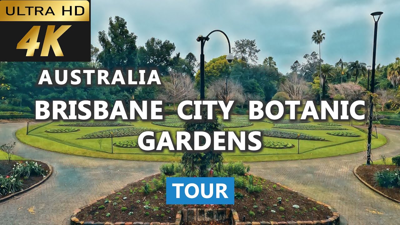 Immerse yourself into a fascinating walking tour at City Botanic Gardens.