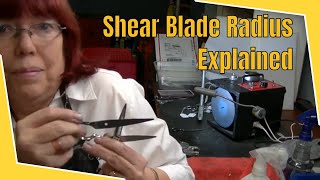 What is the 800 mm Radius? Real or Hoax?