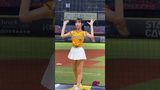 《Passion Sisters》曼容_陳俊秀應援曲（台湾チアリーディングチーム 2024/6/13）