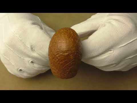 Mastro Geppetto POY 2022 - pipe 222