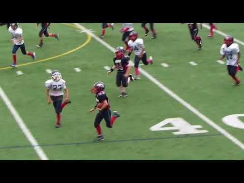 Samm Costantini highlights 2017