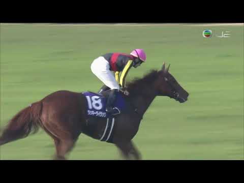 2020 Queen Elizabeth II Cup G1 - Lucky Lilac (旺紫丁) - C.Lemaire