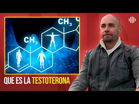 ¿Qué es la testosterona? | Dr. Patrick Clasing