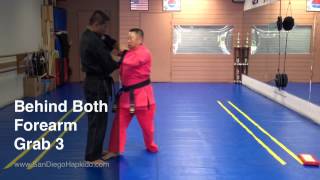 Hapkido Defense Behind Forearm Grab 3