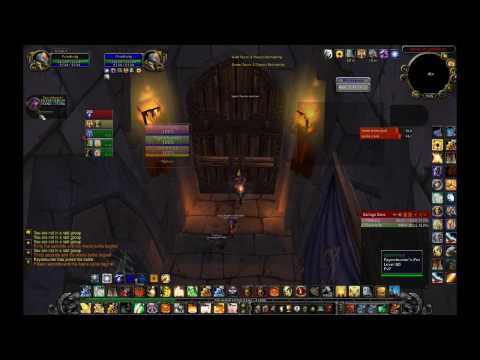 Ret Paladin - MM Hunter 2's