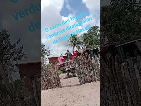 o carro de frutas e verduras diretamente de Paulino Neves Maranhão