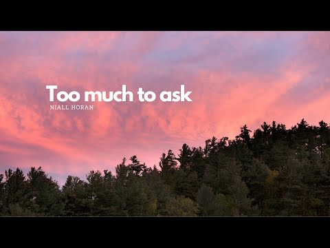 Too Much To Ask - Niall Horan