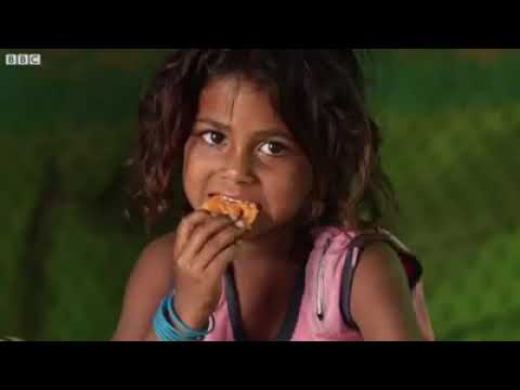 download lagu mp3 mp4 Leftover Food Donation Indore, download lagu Leftover Food Donation Indore gratis, unduh video klip Leftover Food Donation Indore