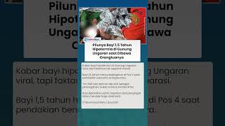 PILU, Bayi 1,5 Tahun Hipotermia di Gunung Ungaran saat Diajak Orangtua, Tim SAR Ungkap Kondisinya