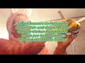 Tobee - Helikopter 117 Lyrics (Mach den Hub Hub Hub)