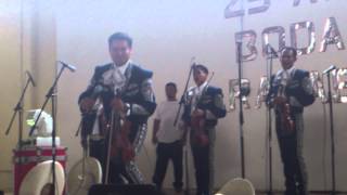 MARIACHI ORO HIDALGUENSE:EL GUSTITO