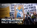 Pro-Palestine protesters rallied in London amid Israeli attacks