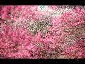 Ayumi Hamasaki -Voyage (orchestral theme) 