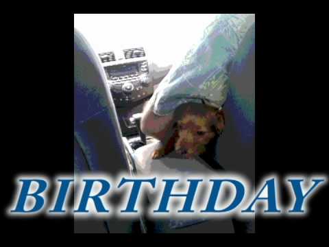 Happy Birthday Katya!