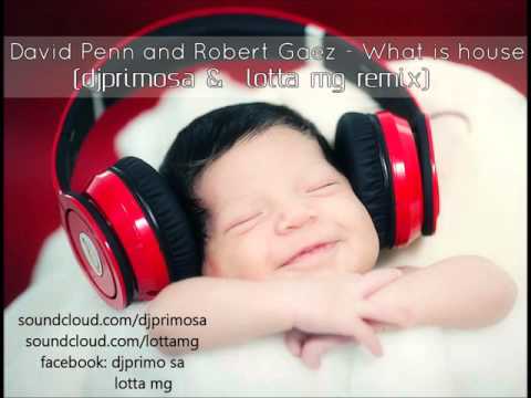 david penn and robert gaez -  what is house (djprimosa &  lotta mg remix)