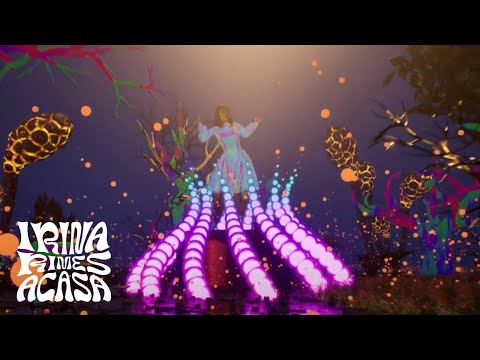 Video thumbnail for Taie