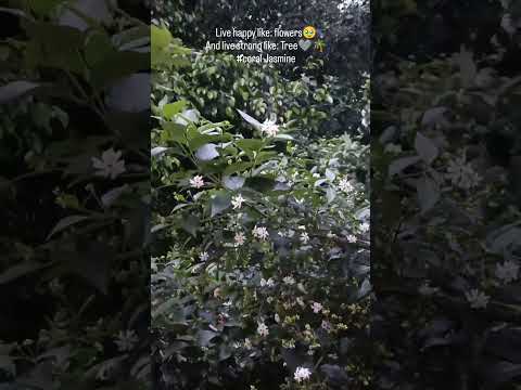 deeply love with nature🫶