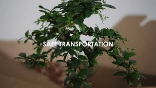 Capsa Packaging corporate video