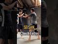 Goju Ryu Seisan Bunkai