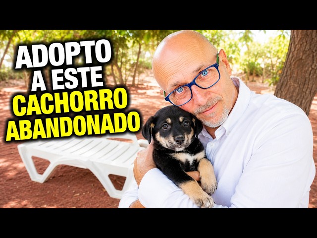 Vídeo relacionado con Primitives by Kathy Caja Muestra, un Perro no Cuidado, Cat Better Life, 5" Square