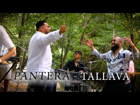 Stefcho Band - PANTERA TALLAVA 2025 Стефчо бенд - Пантера Таллава 2025