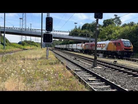 Bahnverkehr in Othmarsingen (12.07.2025)