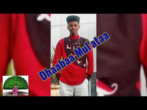 New Oromo Music Memaluma Fallii Dhaabaa Mul'ataa