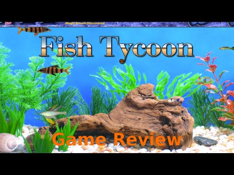 Fish Tycoon - Game Review with Gameplay - YouTube