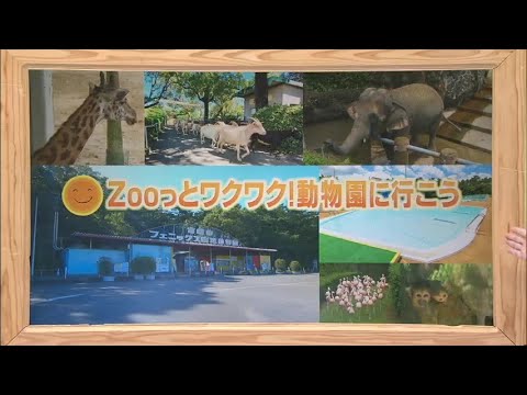 2024年7月20日(土)放送 「ＺＯＯ（ず～っ）とワクワク！動物園に行こう」