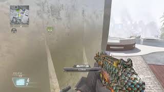 bo2 大会