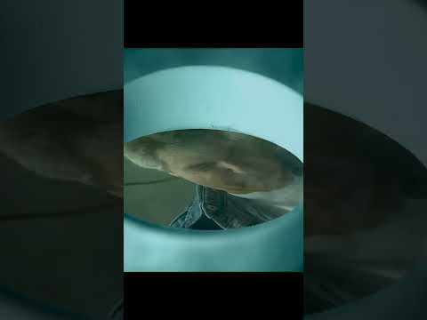 CUTTING-EDGE (Enhanced 4K)