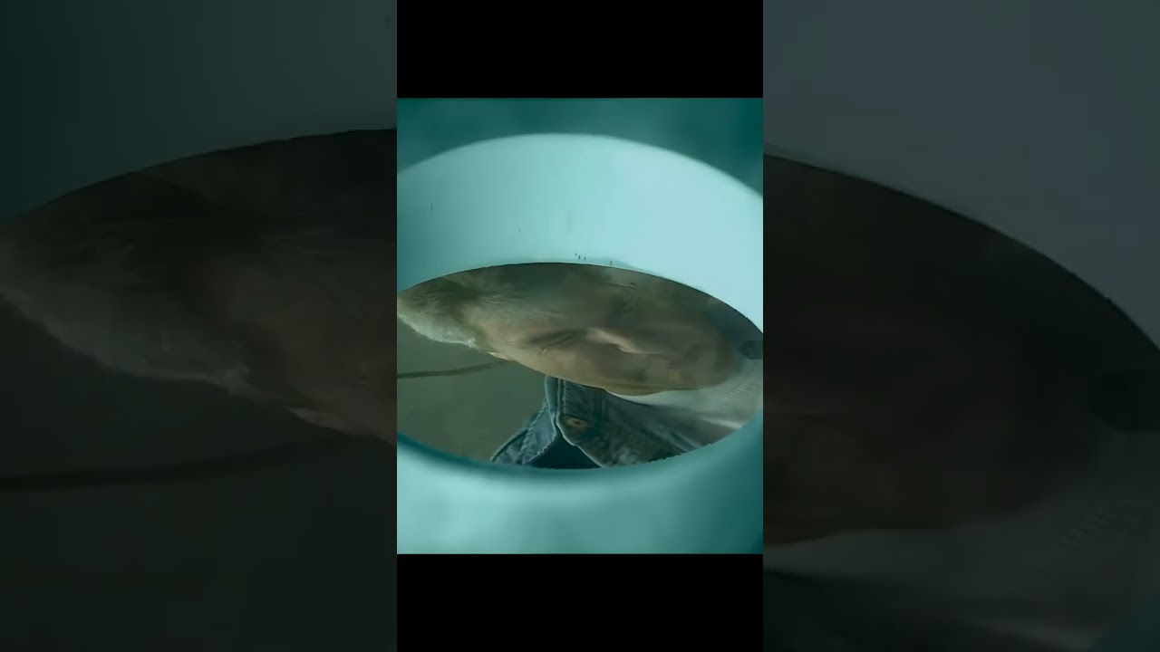 CUTTING-EDGE (Enhanced 4K)