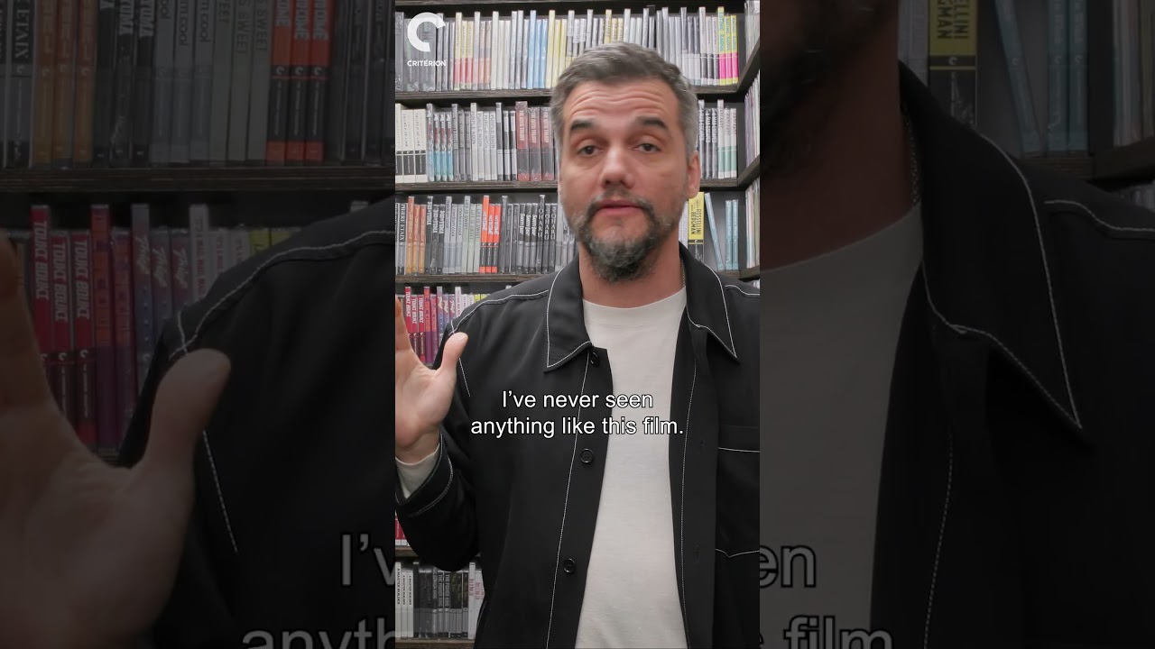 Miniature de la vidéo Wagner Moura on Mário Peixoto's LIMITE (1931) du film Limite